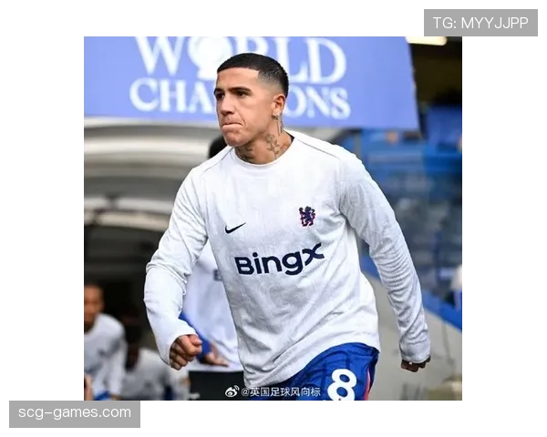 恩佐·费尔南德斯上限解析：数据表现、战术角色与比赛影响力